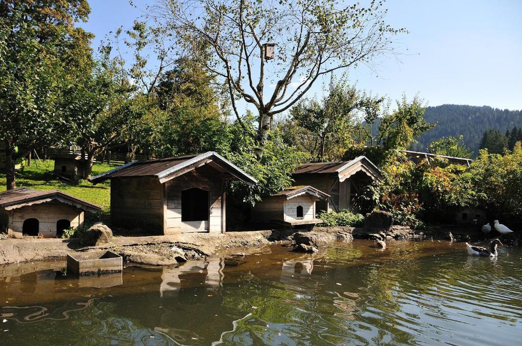 Bodenhof Ferienwohnungen ฟีบาบรุนน์ ภายนอก รูปภาพ