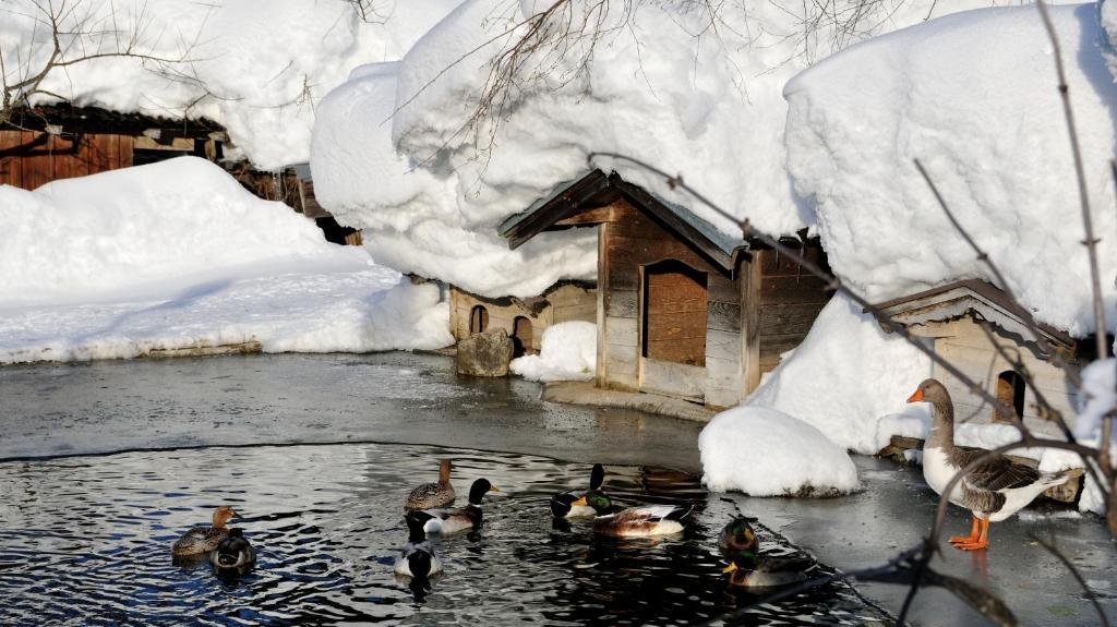 Bodenhof Ferienwohnungen ฟีบาบรุนน์ ภายนอก รูปภาพ