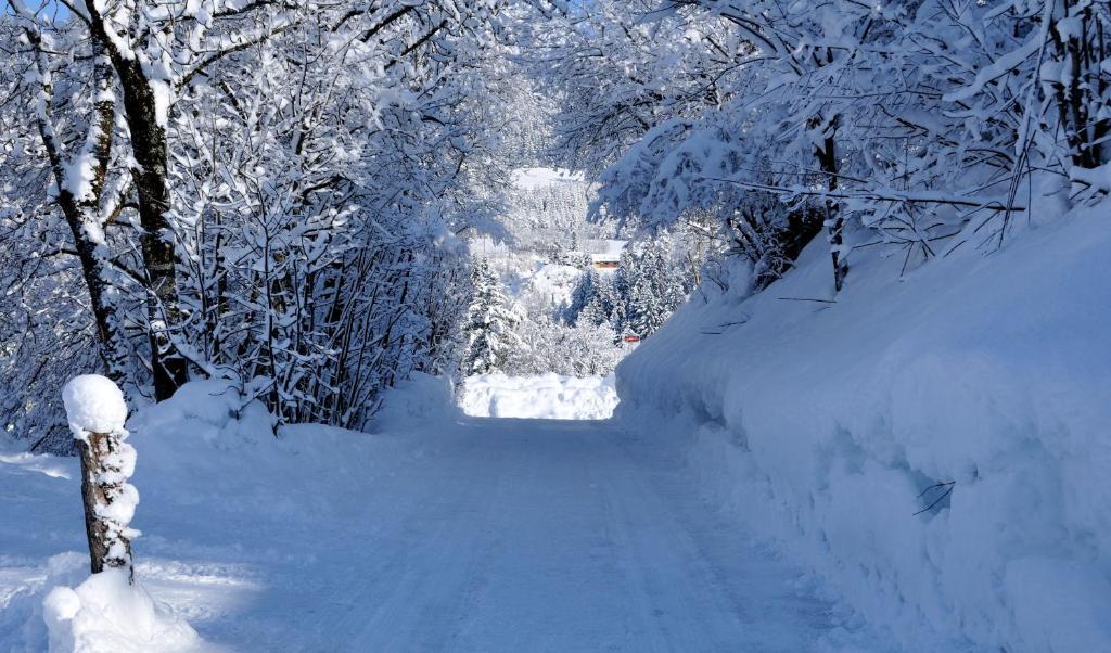 Bodenhof Ferienwohnungen ฟีบาบรุนน์ ภายนอก รูปภาพ