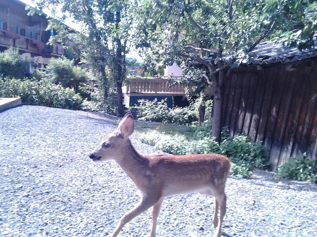 Bodenhof Ferienwohnungen ฟีบาบรุนน์ ภายนอก รูปภาพ